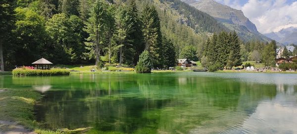 Scenic view of lake by trees and mountains