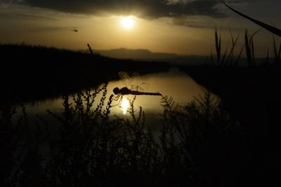 Scenic view of lake against sky during sunset