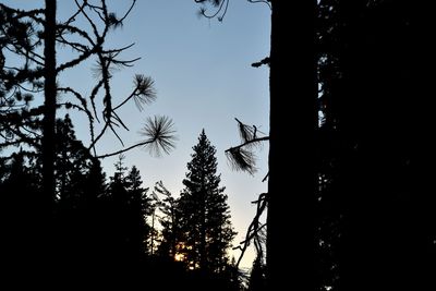 Low angle view of silhouette trees against sky at sunset