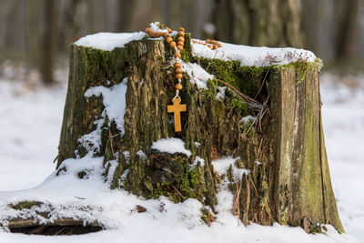 Rosary on frozen tree stump