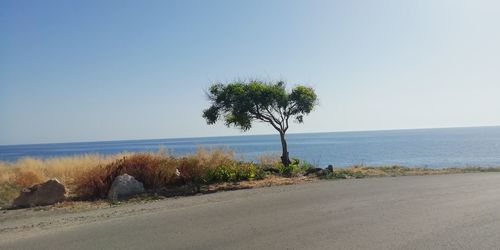 Scenic view of road by sea against clear sky