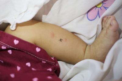 Mosquito sucking blood on human skin