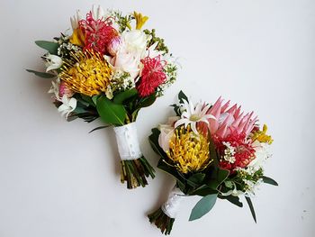 Directly above shot of flower bouquets on white background