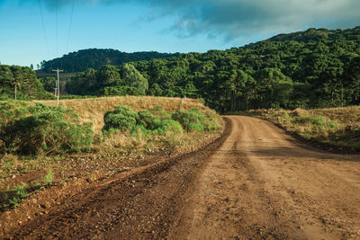 Deserted dirt road passing through rural lowlands with green hills near cambará do sul. brazil.