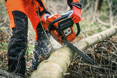 Man holding a chainsaw and cut trees. lumberjack at work. gardener working outdoor in the forest. 