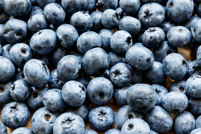 Full frame shot of blueberries