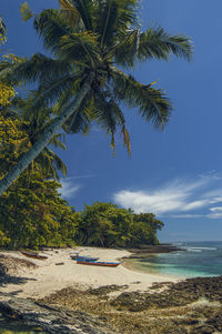 Palm trees on beach against sky