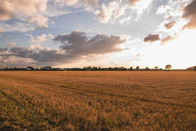 Scenic view of field against sky during sunset