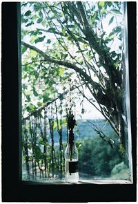 Statue against trees seen through glass window