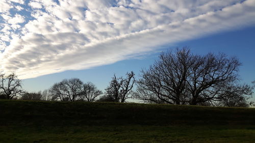 Silhouette bare trees on field against sky