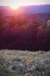 Scenic view of land against sky during sunset