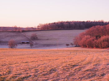 Scenic view of field against sky during winter