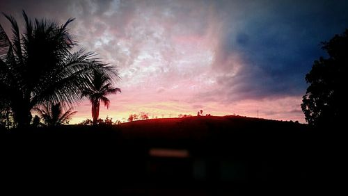 Silhouette of palm trees at sunset