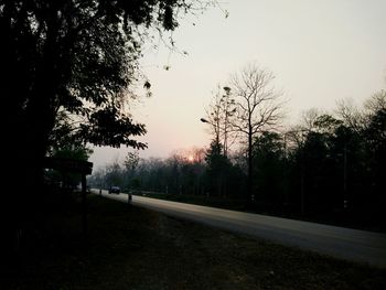 Road passing through bare trees