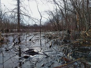 Bare trees by lake against sky during winter