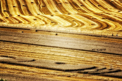 Full frame shot of agricultural field