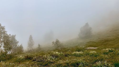Scenic view of landscape against sky during foggy weather