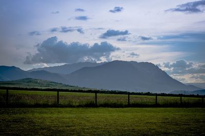 Scenic view of agricultural field against sky