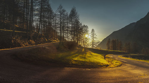 Road amidst trees and plants against sky