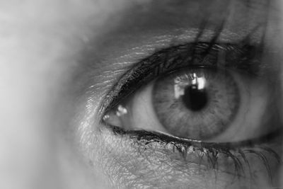 Close-up of human eye