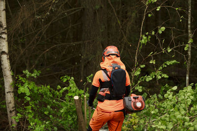 Lumberjack cutting tree in forest