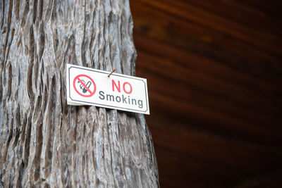 Close-up of information sign on tree trunk