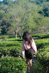 Rear view of woman walking on field