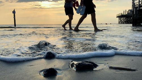 Low section of people standing on beach