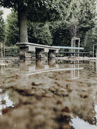 Bridge over lake in forest