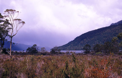 Scenic view of mountains against cloudy sky