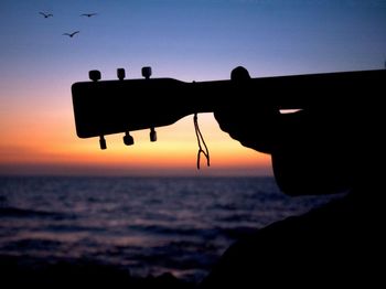 Close-up of silhouette man on beach against sky during sunset