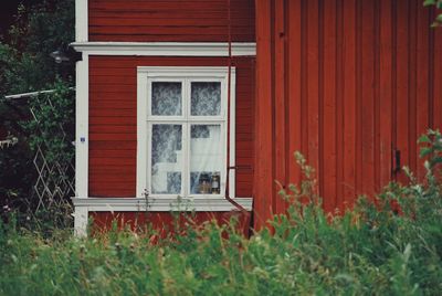 Closed wooden door of house