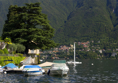 Boats in river against lush foliage