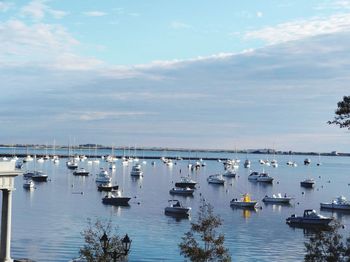 Sailboats moored in harbor