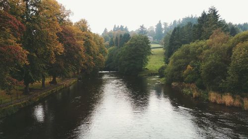 Scenic view of calm river along trees