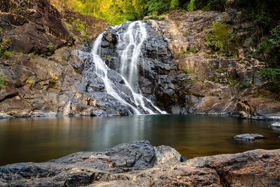 Scenic view of waterfall in forest