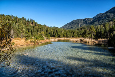 Scenic view of waterfall in forest against clear blue sky