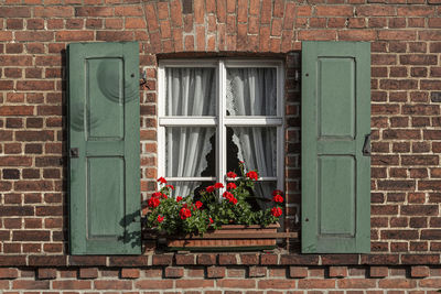 Flower pot against brick wall of building