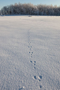 High angle view of footprints on snow field