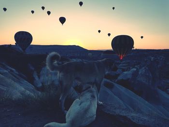 Hot air balloons flying over rocks against sky during sunset