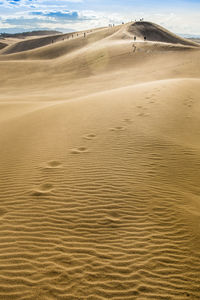 Scenic view of sand dunes in desert against sky