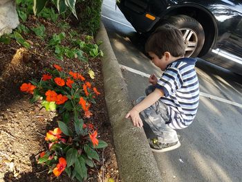 High angle view of boy on flowering plants