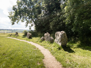 View of a field