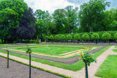 Trees in park