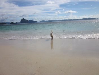 Full length of man standing on beach against sky