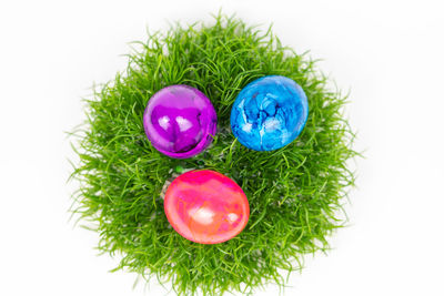 High angle view of multi colored eggs against white background