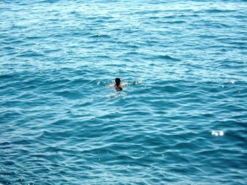 High angle view of man swimming in sea