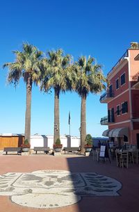 Palm trees at beach against blue sky