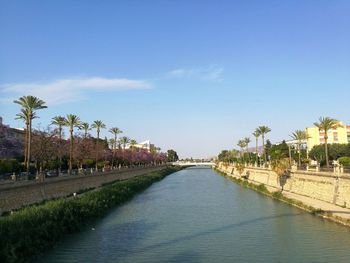 Panoramic view of palm trees by canal against sky