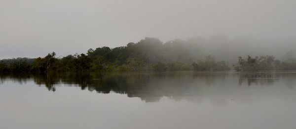 Scenic view of lake with trees in background